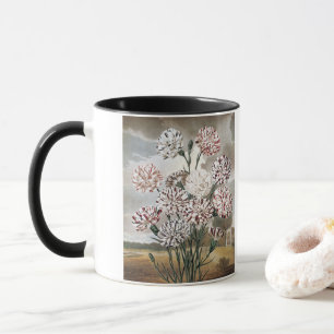 Oude bonte anjerbloemen met grijze lucht mok