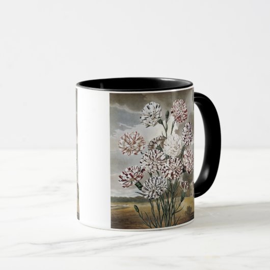 Oude bonte anjerbloemen met grijze lucht mok (Voorkant rechts)