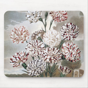 Oude bonte anjerbloemen met grijze lucht muismat
