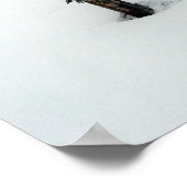 Oude boom bij Mt. Bachelor Poster (Hoek)