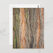 oude boom briefkaart (Voorkant / Achterkant)