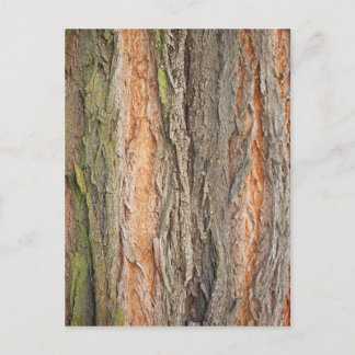 oude boom briefkaart