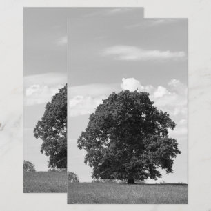 Oude boom briefpapier