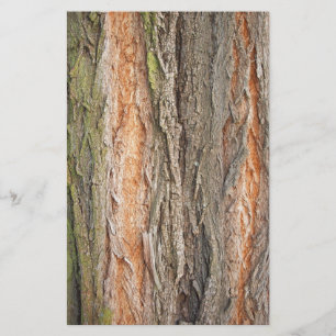 oude boom briefpapier