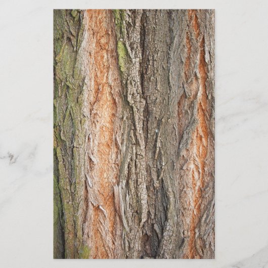 oude boom briefpapier (Voorkant)