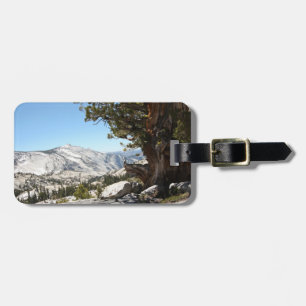 Oude boom in het Nationaal Park Yosemite Bagagelabel