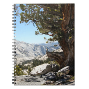 Oude boom in het Nationaal Park Yosemite Notitieboek