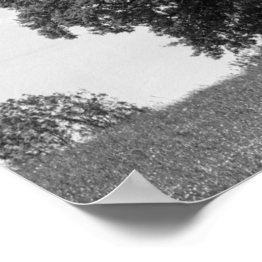 Oude boom poster (Hoek)