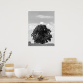 Oude boom poster (Keuken)