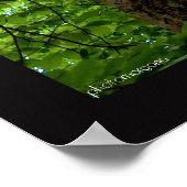 Oude boom poster (Hoek)