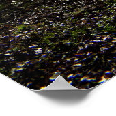 Oude Boom, Winterse Zon Poster (Hoek)