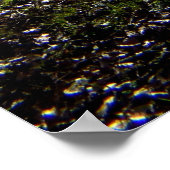 Oude boom, winterzon poster (Hoek)