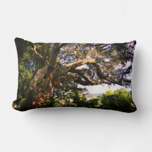 Oude boomfoto Lumbar Pillow Kussen