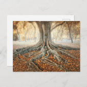 Oude boomwortels briefkaart (Voorkant / Achterkant)