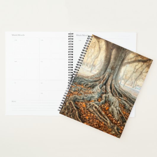 Oude boomwortels planner (Display)