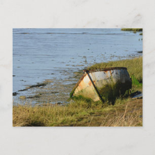 Oude boot op Creek Briefkaart