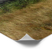 Oude boot poster (Hoek)