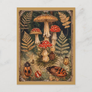 Oude bos-paddenstoelen herfstgroet briefkaart