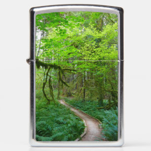 Oude Bos Wandelroute in Olympic National Park