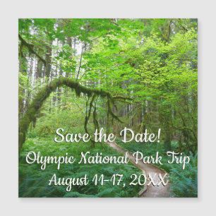 Oude Bos Wandelroute in Olympic National Park
