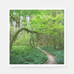 Oude Bos Wandelroute in Olympic National Park Servet