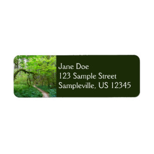 Oude Bosroute in Olympic National Park Etiket
