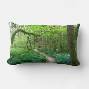 Oude Bosroute in Olympic National Park Kussen