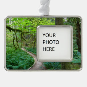 Oude Bosroute in Olympic National Park Verzilverd Kader Ornament