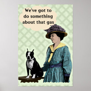 Oude BostonTerrier Poster