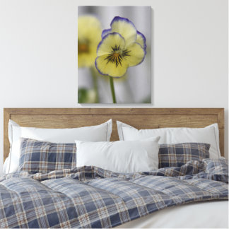 Oude botanische afbeelding - gele en paarse vioolt canvas afdruk