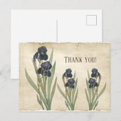 Oude botanische blauwe baardirissen dank je wel briefkaart (Voorkant / Achterkant)