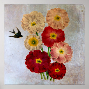 Oude botanische bloemen zwaluw vogel roestige blau poster