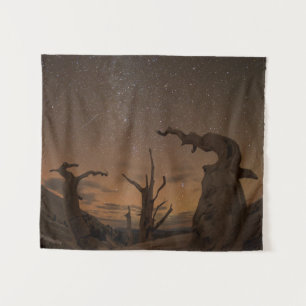 Oude Bristlecone Pine Forest Californië Wandkleed