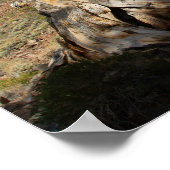 Oude Bristlecone print, waarde Poster papier (Hoek)