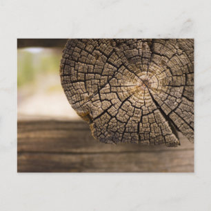 Oude Cabin Wood Textures Briefkaart