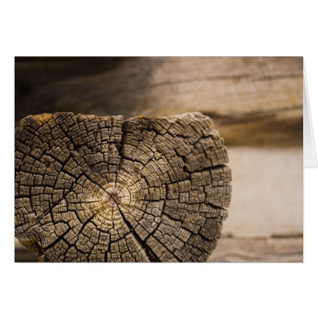 Oude cabine texturen (Voorkant Horizontaal)