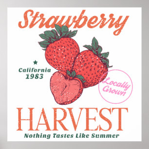 Oude Californische Keuken met Aardbeienoogst Poster