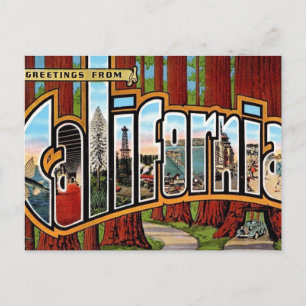 Oude Californische Reuzenbomen Briefkaart