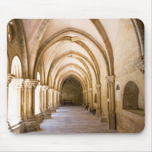 Oude Cathedraal Cloister Walkway Muismat