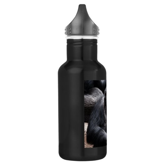 Oude chimpansee waterfles  (Links)