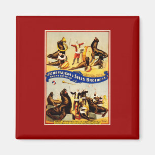 Oude circus - Zeeleeuwen en zeehonden Magneet