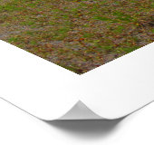 Oude Coachmen - camper trailer foto Poster (Hoek)