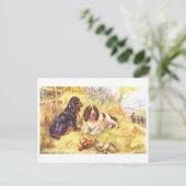 Oude Cocker Spaniels Briefkaart (Staand voorkant)