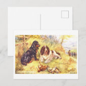 Oude Cocker Spaniels Briefkaart (Voorkant / Achterkant)