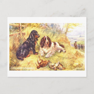 Oude Cocker Spaniels Briefkaart