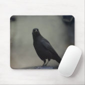 Oude Crow Art Muismat (Met muis)