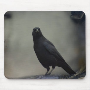Oude Crow Art Muismat