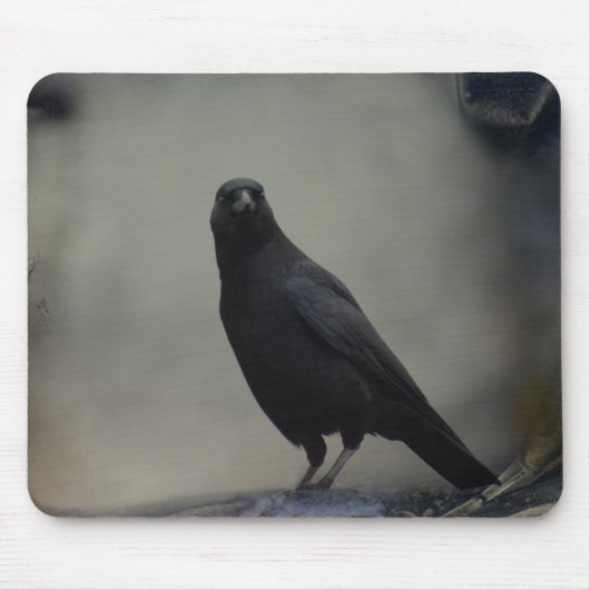 Oude Crow Art Muismat (Voorkant)