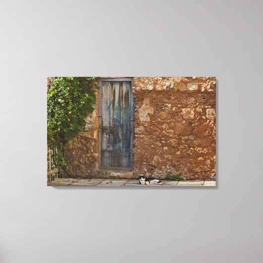 Oude deur en rustkat canvas afdruk (Voorkant)