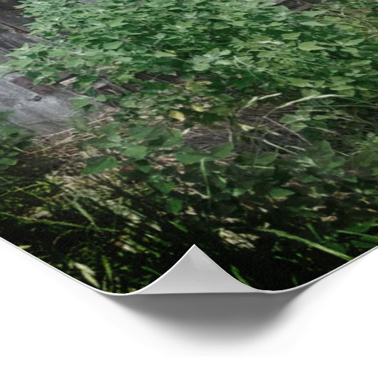 Oude deur poster (Hoek)